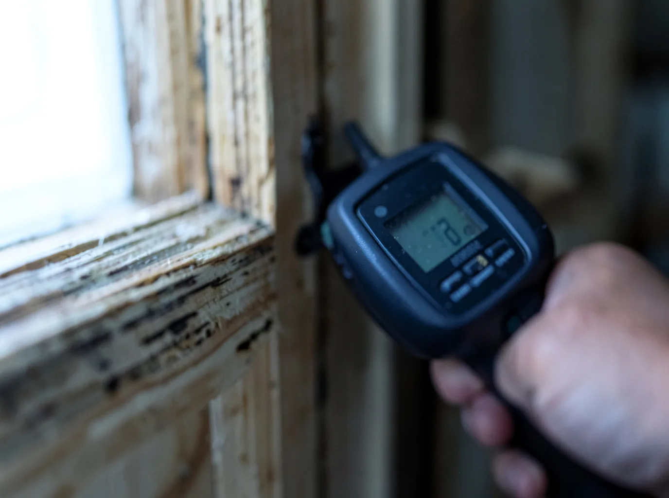 Moisture Inspection And Documentation in Yellow Pine, ID